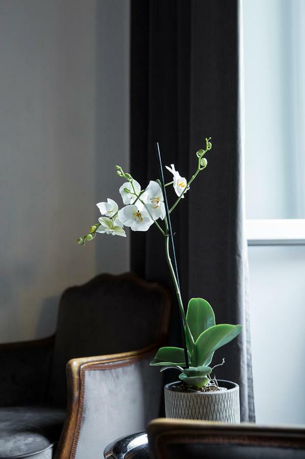Duomosette Bed & Breakfast Carrara Bagian luar foto